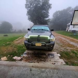 Meet your Posher, George